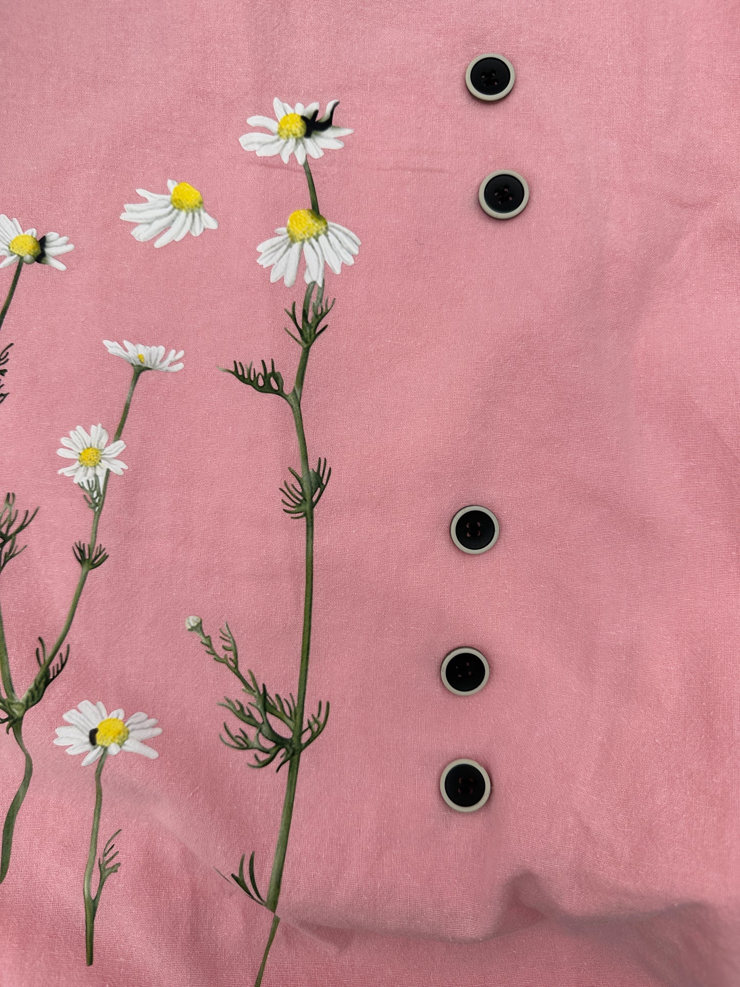 Noracora Size XL Light Pink w/Daisies Long Sleeve Top, new/NWT