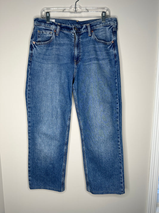 GAP Size 30/10R Blue Medium Wash Loose Mid-Rise Jeans